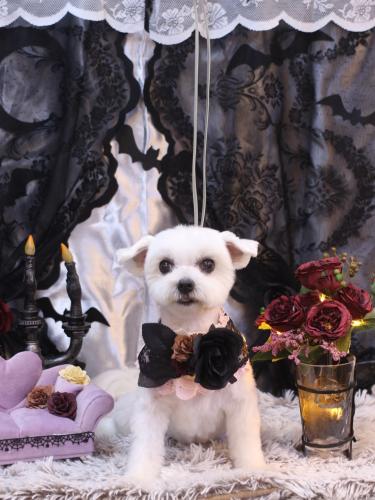 20231004うららちゃん